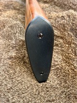 Kimber of Oregon 218 Mashburn Bee - 12 of 14