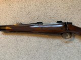CZ-USA 550LH Safari Magnum - 4 of 8