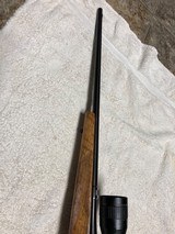 CZ 527 - 22 hornet varmit rifle - 6 of 9