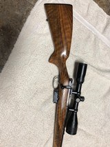 CZ 527 - 22 hornet varmit rifle - 8 of 9