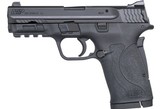 Smith & Wesson M&P Shield EZ 380 ACP **10 MTH FREE LAYAWAY / NO CC FEE** - 1 of 4