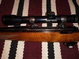 Ruger M77 6 mm - 3 of 3