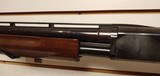 Used Browning BPS 12 Gauge 28" barrelclean bore clean wood very good condition - 7 of 25