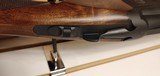 New Legacy Sports Pointer 12 gauge 30