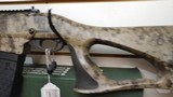 used Remington 870 DM Predator 12 GA 047700813547 - 4 of 21