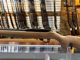 Ruger 10/22 - 9 of 12