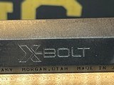 Browning X-Bolt - 9 of 10