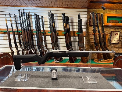 Ruger 10/22 Takedown #21182