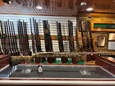 Winchester SX4 20ga 28"