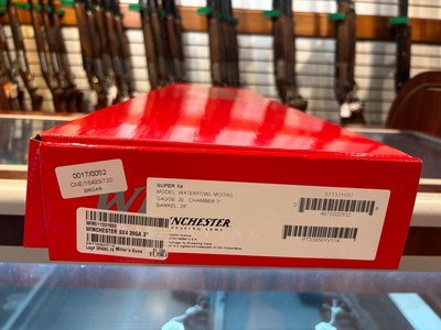 Winchester SX4 20ga 28" - Image 4 of 4