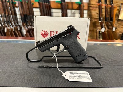 Ruger LCP MAX Magpul EHG - Image 2 of 4