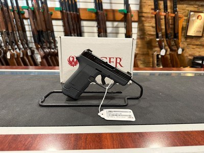 Ruger LCP MAX Magpul EHG - Image 1 of 4