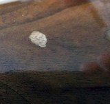 REMINGTON MODEL 572 FIELDMASTER22 SHORTS, LONGS, LONG RIFLE - 5 of 5