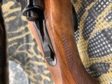 Ruger M77 in .243 Winchester - 5 of 9