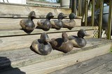 Flock of Ducks
Mason 1920's mix bag solid wood decoys