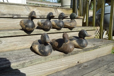 Flock of Ducks
Mason 1920's mix bag solid wood decoys