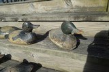 Flock of Ducks
Mason 1920's mix bag solid wood decoys - 14 of 15