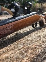 Remington Varmint - 7 of 11