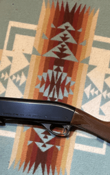 Remington 1100LT 20 special field - 3 of 5