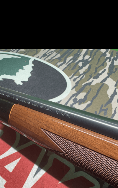 Remington BDL 17rem - Image 3 of 10