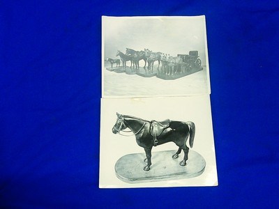 Hand Carved Wooden Horse with Leather Saddle That Was In The West Point Museum - Image 5 of 5