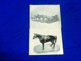 Hand Carved Wooden Horse with Leather Saddle That Was In The West Point Museum - Image 5 of 5