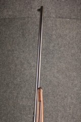 Winchester Lee Navy sporting .236 U.S.N/6mm Lee Navy - 8 of 13