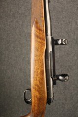 Winchester Model 70 Pre-64, .375 H&H - 8 of 13