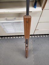 Ruger M77 MKII .204 Ruger cal. stainless Hawkeye Predator - 12 of 15