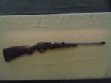 ruger 10-22 - 4 of 4