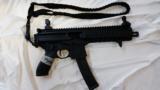 Sig Sauer MPX 9mm - 1 of 1