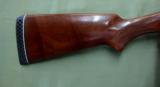 Charles Daly Auto Pointer 12GA - 4 of 8