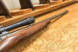 Winchester 70 .22Hornet - 8 of 14