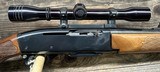 Remington 742, .243Win, 22