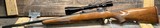 Ruger M77, 270 Win, 22