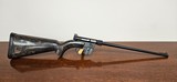 Armalite AR-7 .22LR - 1 of 10