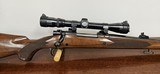 Winchester Model 70 7mm Rem Mag - 3 of 13