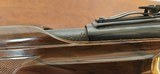 Remington Nylon 66 .22LR - 11 of 14