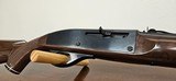 Remington Nylon 66 .22LR - 5 of 15