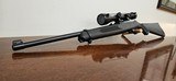 Ruger 10/22 .22LR - 12 of 12