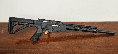 Ruger 10/22 W/ Nordic Components Chasis