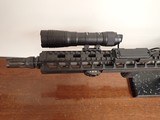 Radian Model 1 .223 Wylde W/ Eotech XPS2 - 14 of 17