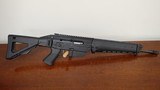 Sig Sauer SIG552 .22LR - 1 of 13