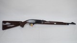 Remington Nylon 66 .22LR - 1 of 21