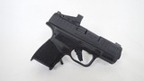 Springfield Armory Hellcat 9mm - 6 of 12