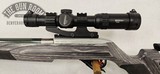 Custom Ruger 10/22 .22LR - Summit BBL Boyds Stock - 16 of 21
