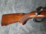 1953 Winchester Model 70, in .257 Robert's, in Excellent Condition - 3 of 20