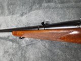 1953 Winchester Model 70, in .257 Robert's, in Excellent Condition - 10 of 20