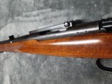 1953 Winchester Model 70, in .257 Robert's, in Excellent Condition - 9 of 20