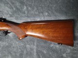 1953 Winchester Model 70, in .257 Robert's, in Excellent Condition - 7 of 20